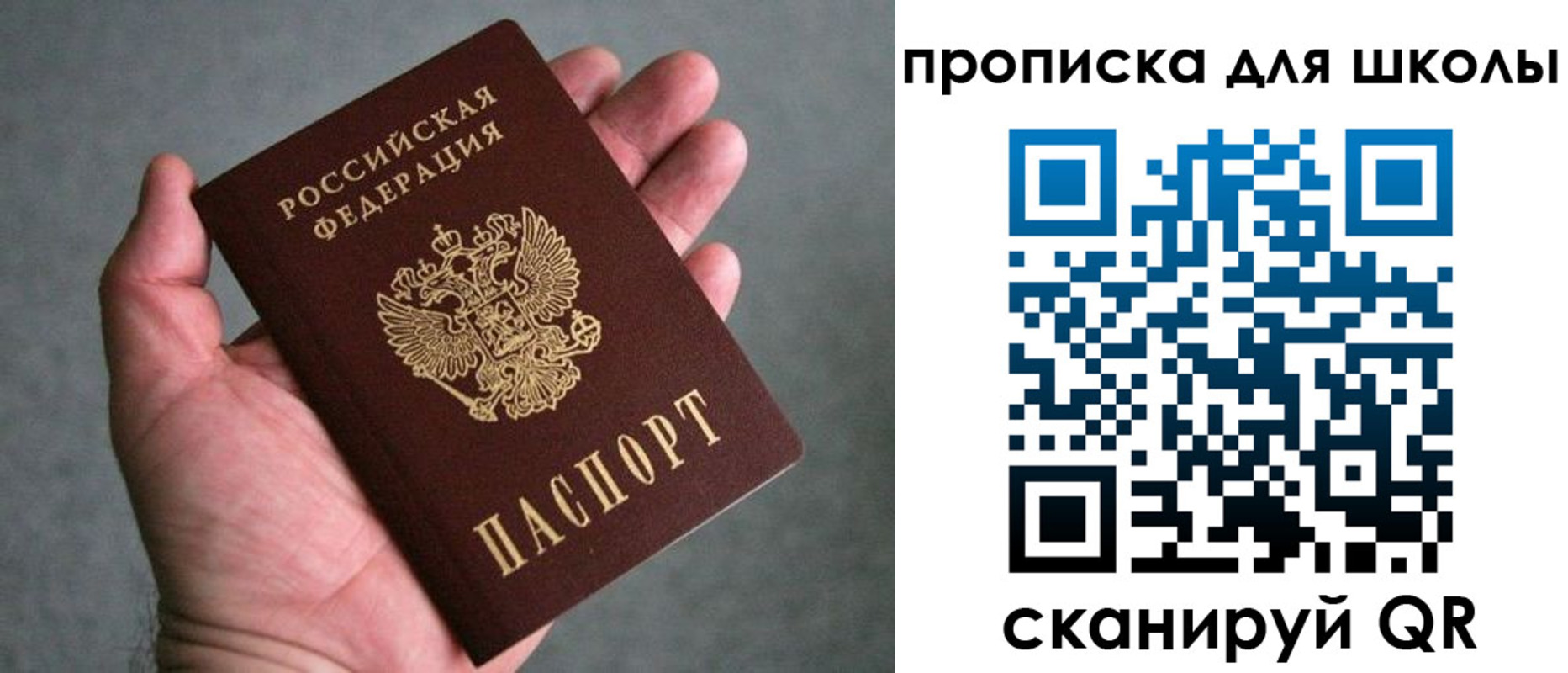 прописка штамп в Амурской области